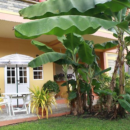 Greenhaven Cottage Bed And Breakfast Tobago エクステリア 写真
